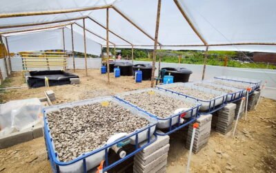 ACUAFASA culmina octubre con avances significativos en la instalación de sistemas y fortalecimiento tecnológico