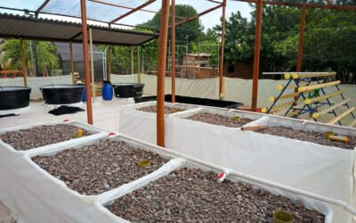 Avanza la instalación de los sistemas acuapónicos familiares en las comunidades del proyecto ACUAFASA