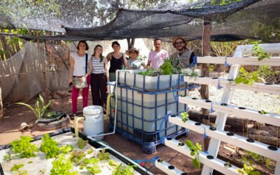 ACUAFASA en territorio: acuaponía que conecta comunidades, educación y cooperación